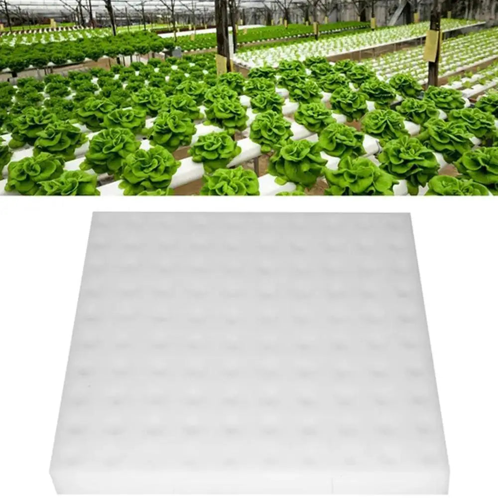 100Pcs/steet Soilless Hydroponic Seedling Sponges Nursery Pots Vegetable Planting Square Seedling Sponge Blocks Garden Accessori