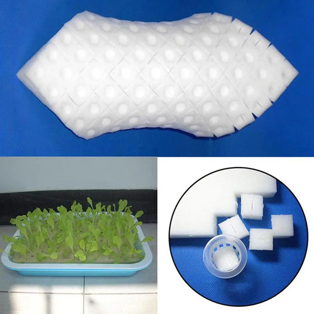 100Pcs/steet Soilless Hydroponic Seedling Sponges Nursery Pots Vegetable Planting Square Seedling Sponge Blocks Garden Accessori