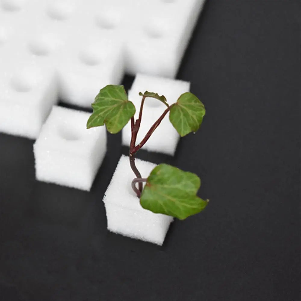 100Pcs/steet Soilless Hydroponic Seedling Sponges Nursery Pots Vegetable Planting Square Seedling Sponge Blocks Garden Accessori