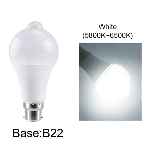 S234529b2891d45209629d450358d583cF
